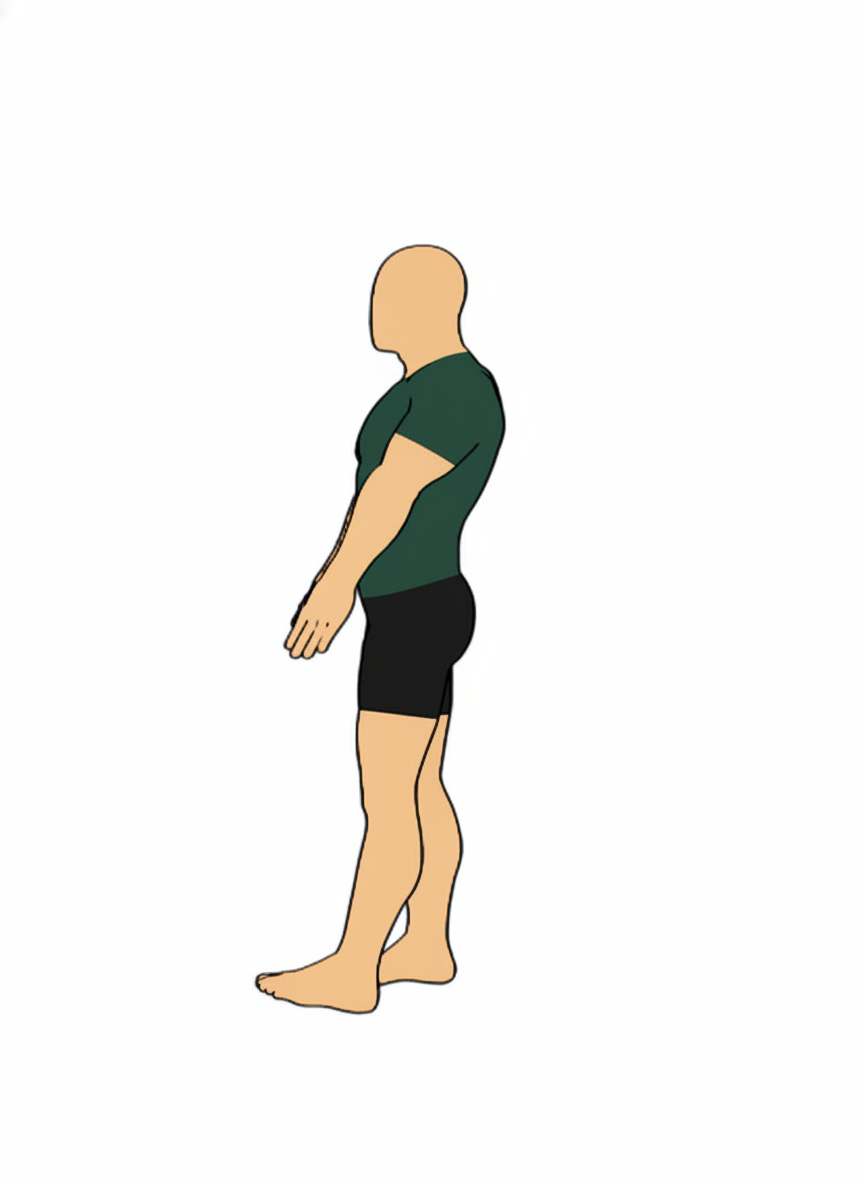 Python Position Stretch Static vs Dynamic Stretching: What Research Reveals About Each Approach